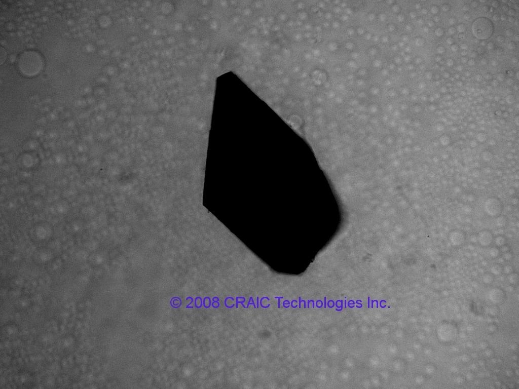 280 nm UV transmission image of protein crystal